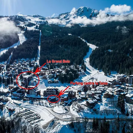 La Tania, 2 Pièces, 6 Personnes - Fr-1-182a-10 Appartamento